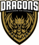 logo les dragons dvhb